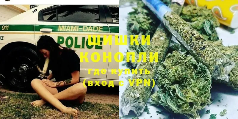 наркотики  Благодарный  Конопля OG Kush 